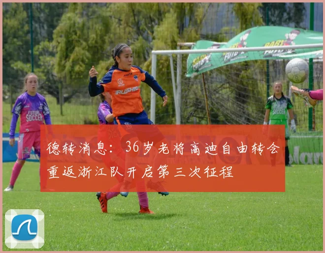 德转消息：36岁老将高迪自由转会重返浙江队开启第三次征程