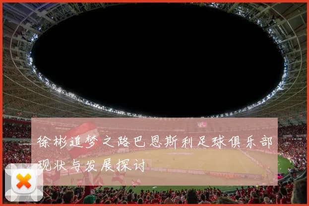 徐彬追梦之路巴恩斯利足球俱乐部现状与发展探讨