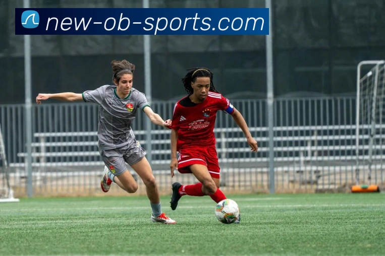 OB体育平台生态图